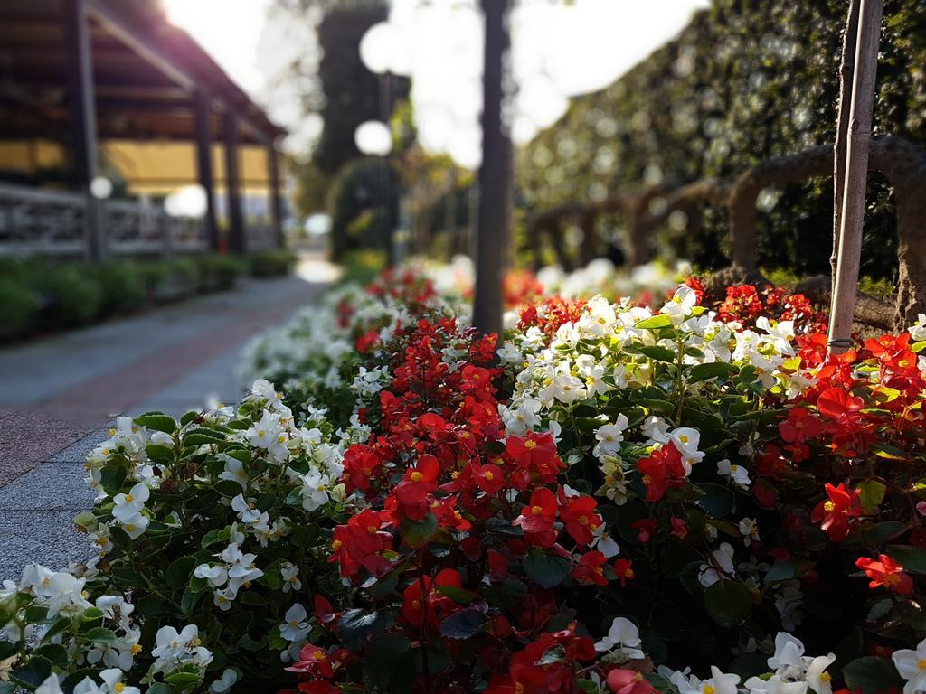 Hotel Bel Sito Peschiera del Garda Exterior foto